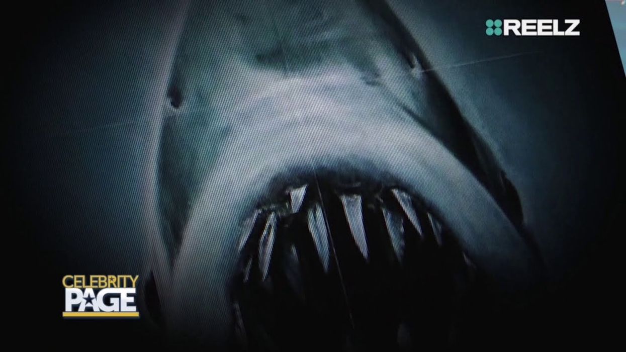 WATCH: Scary Sharks Take a Bite Out of Halloween on Reelz
