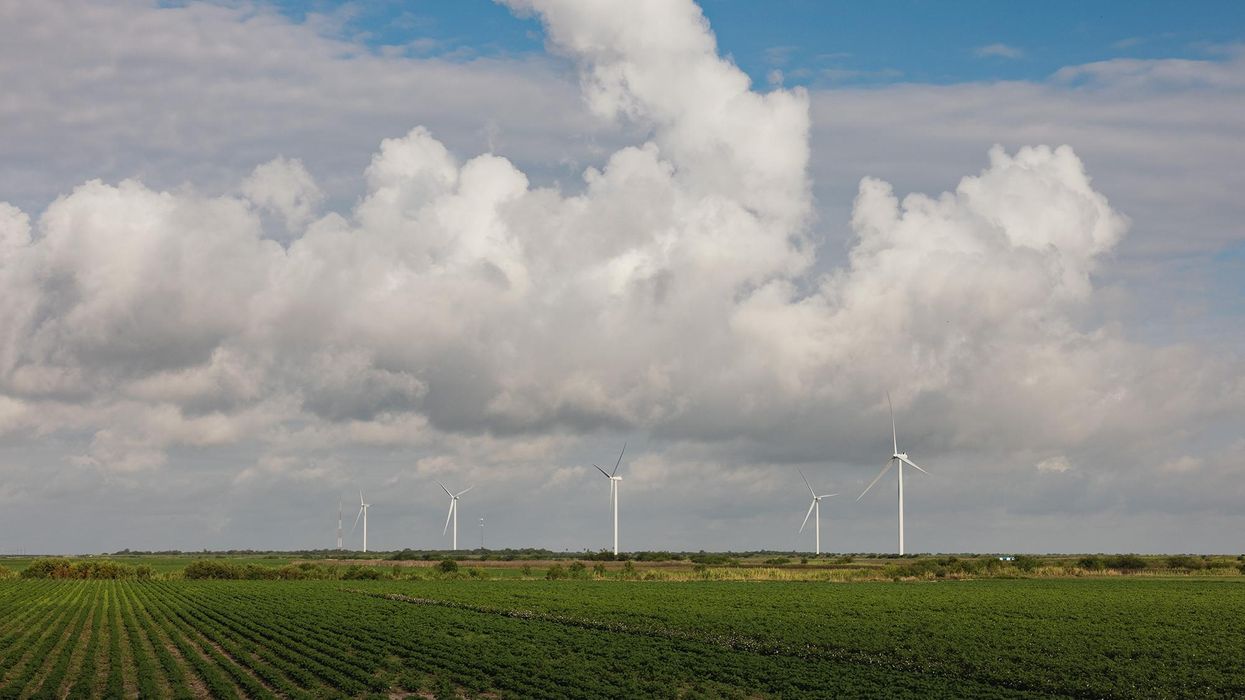 	A windfarm on farmland near Brownsville, Texas, on August 26.