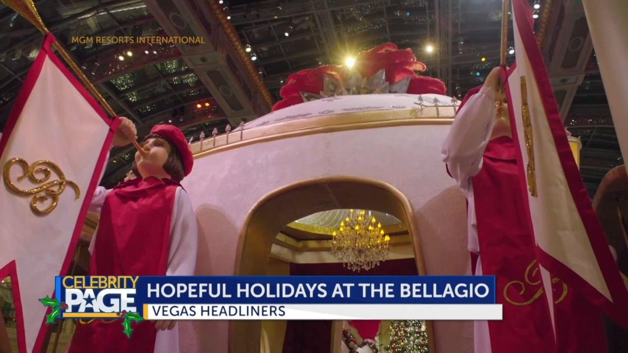 The Bellagio Hotel In Las Vegas Unveils New Christmas Display With 14,000 Flowers