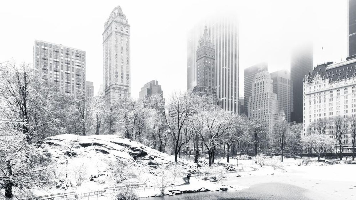 Central Park covered in snow