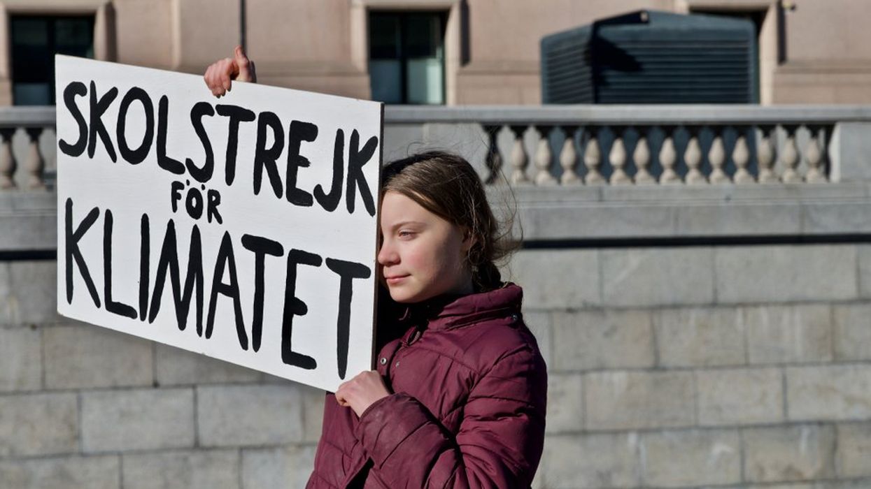 Greta Thunberg school climate protest
