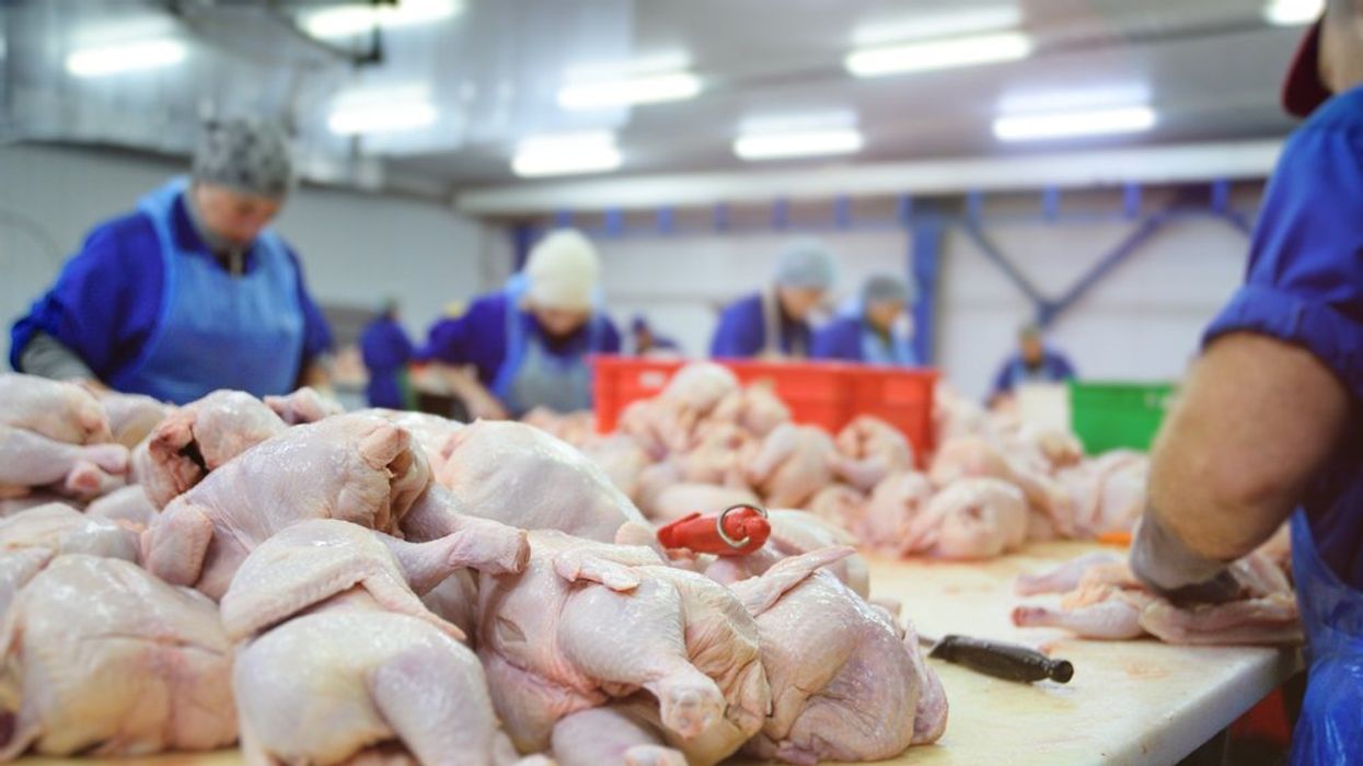 Illegal Child Labor Is on the Rise. An L.A. Poultry Plant Is the Latest Offender