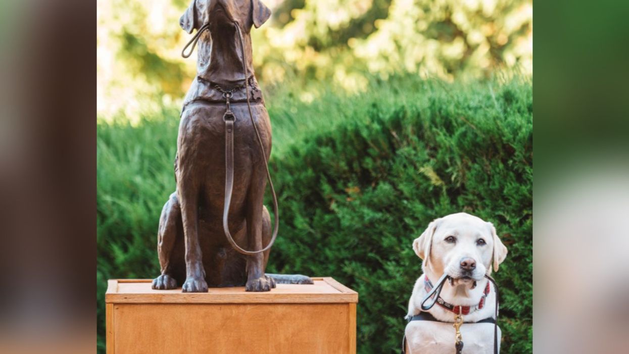 Service Dog of George H.W. Bush Gets A Bronze Statue