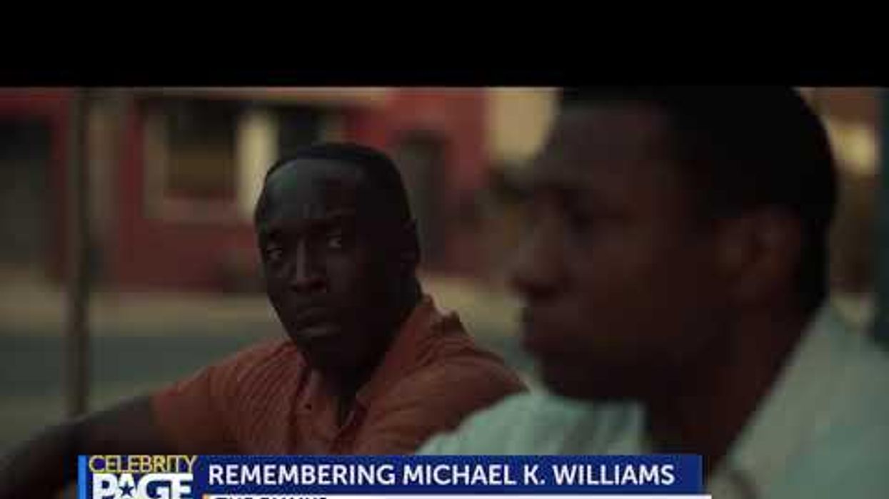 Emmy Preview: Michael K. Williams Nominated for His Role in 'Lovecraft Country'