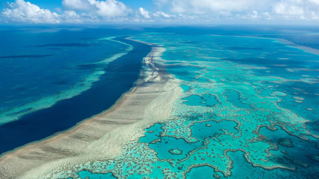 New Report Shows Great Barrier Reef Should Be Placed on the 'In Danger' List