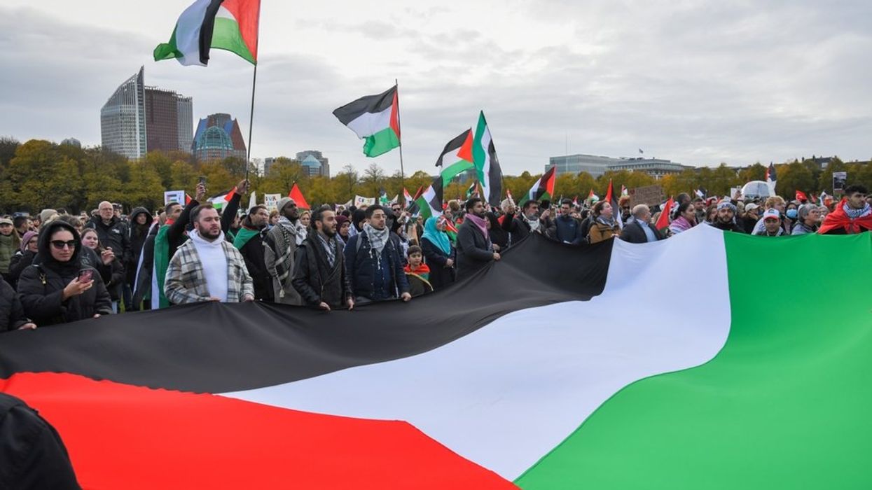 Pro-Palestine protest at the Hague
