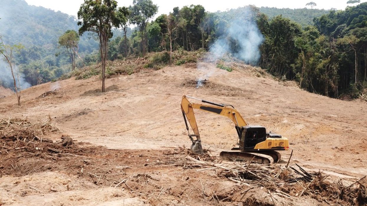 Rainforest Loss Worsens Despite Global Promises