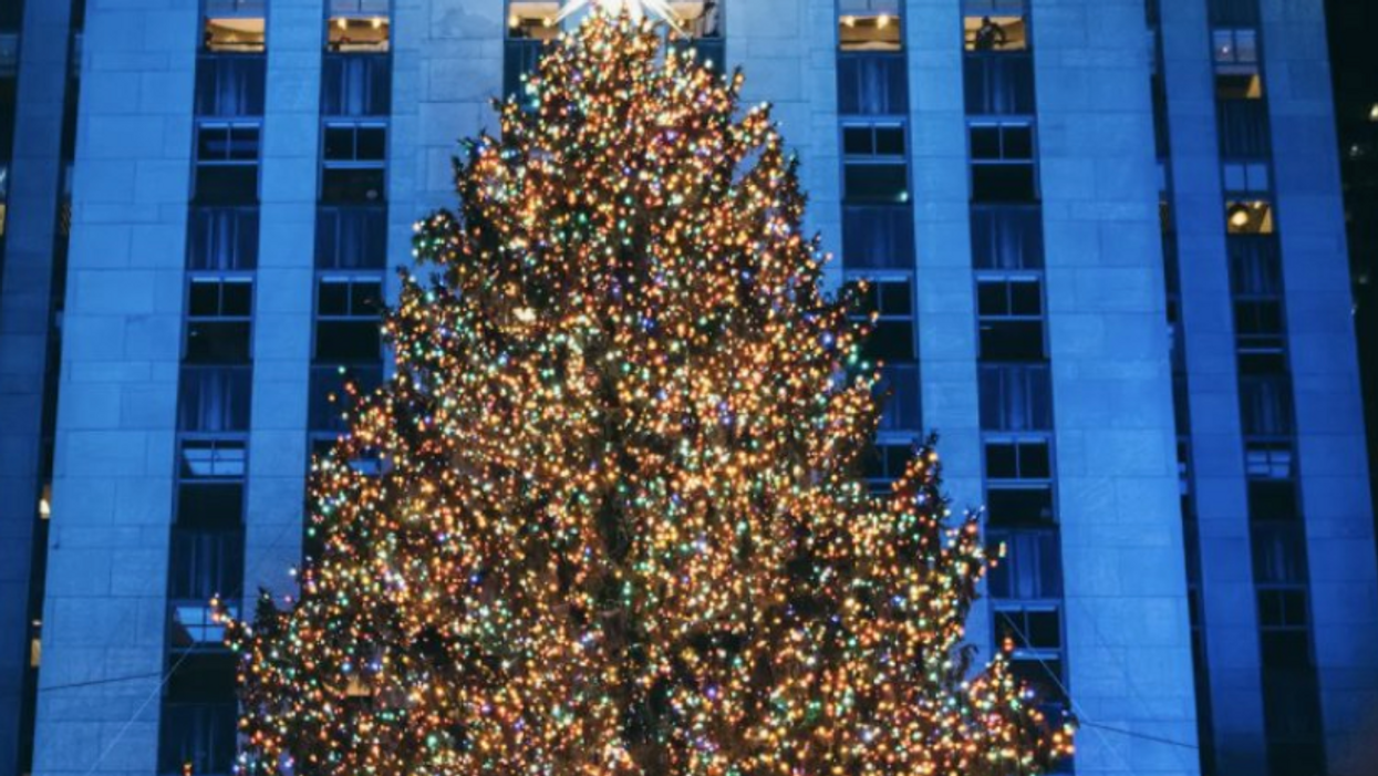 The 2021 Rockefeller Tree Has Officially Arrived In NYC