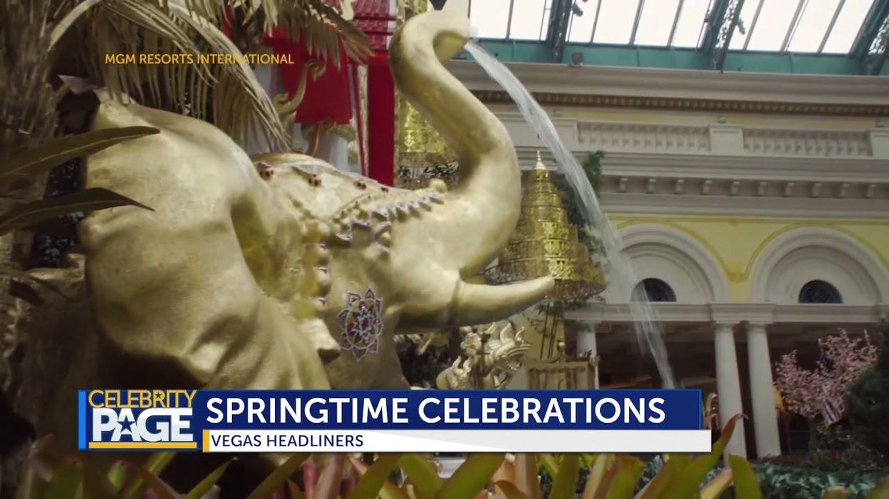 Springtime Display At The Bellagio Conservatory & Botanical Gardens Officially Opens!