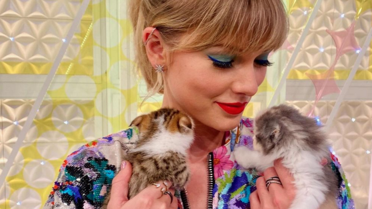 It's National Cat Day: Here Are Our Favorite Celebrity Cat Fans