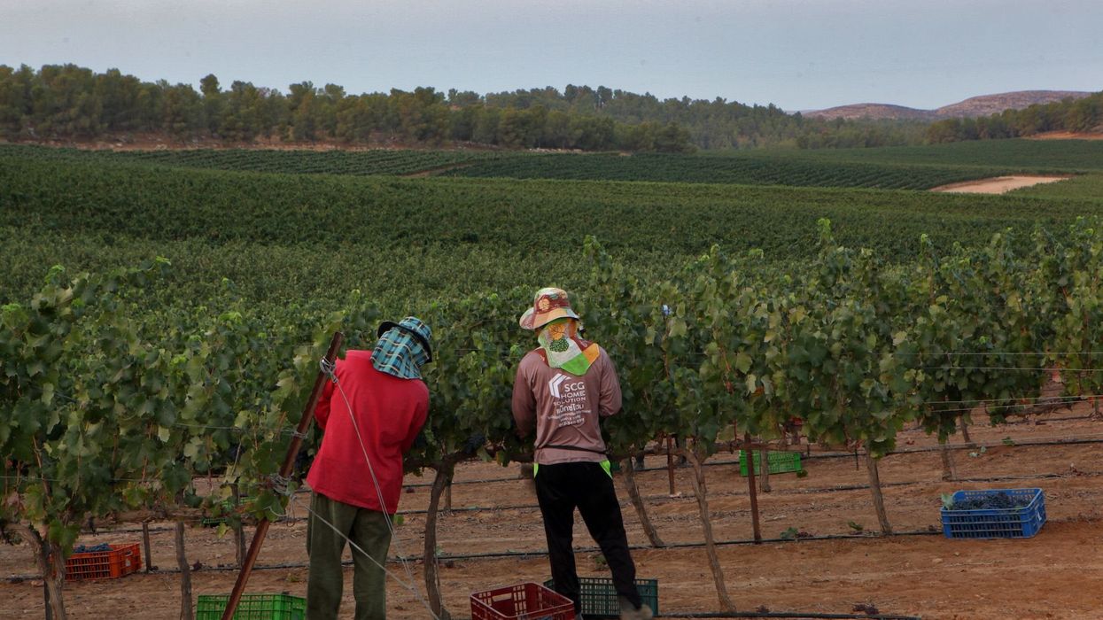 Thai Agricultural Workers Dead in Hamas Attacks Spotlight Those Who Toil in Israel’s Fields