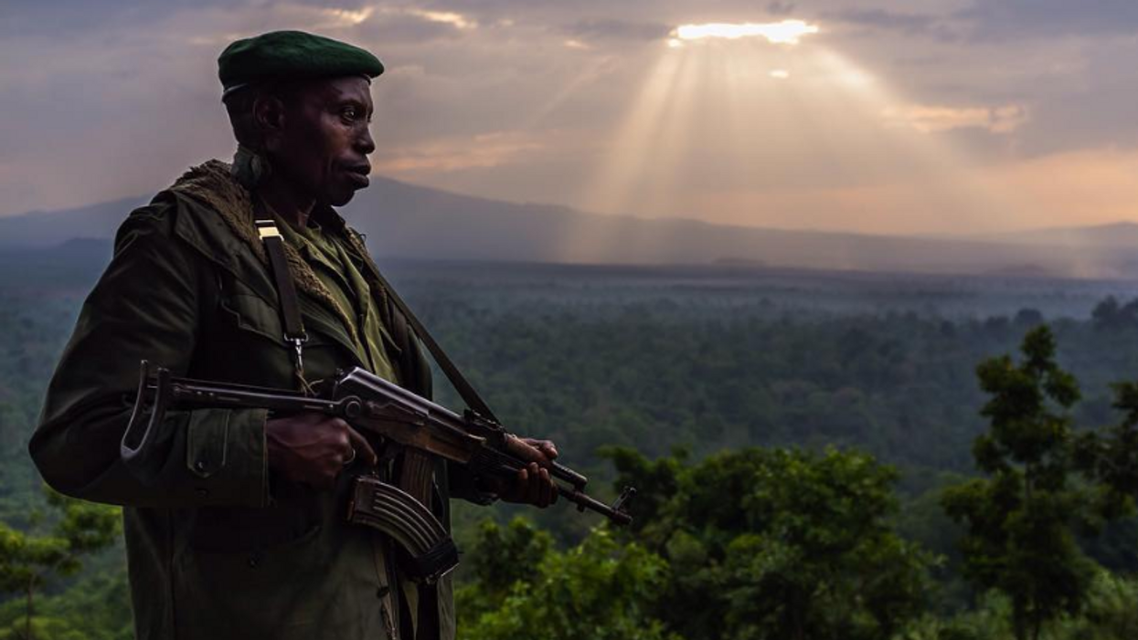 Barry Jenkins And Leonardo DiCaprio Team Up For Film Adaptation Of 'Virunga' Documentary