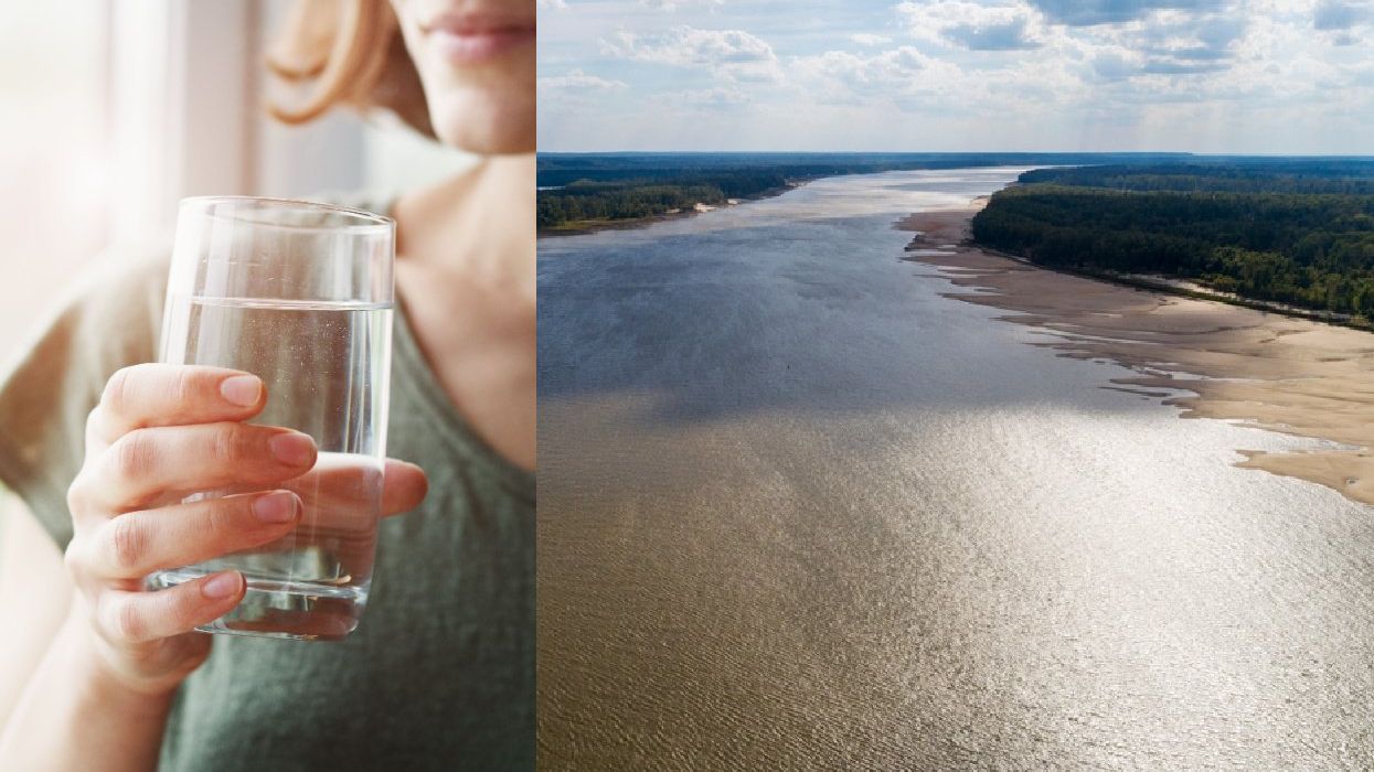 Why a Saltwater Wedge in the Mississippi River Is Such a Big Deal