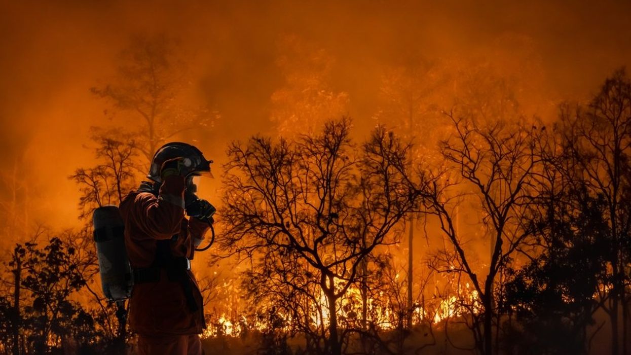 Wildfire Smoke Has Caused Hundreds of Premature Deaths Every Year Since 2000